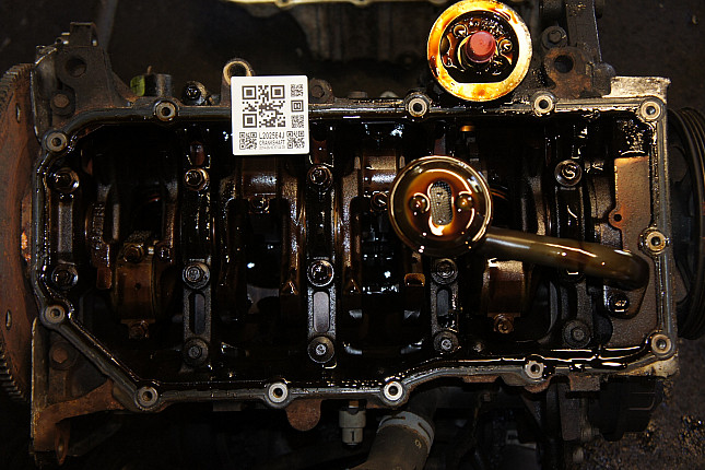 Фотография блока двигателя без поддона (коленвала) PLYMOUTH TN225010