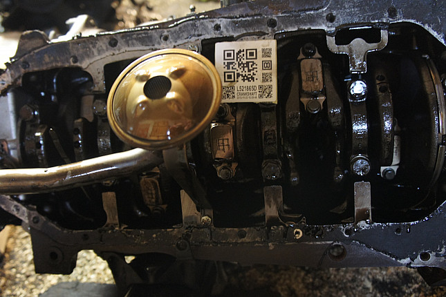 Фотография блока двигателя без поддона (коленвала) VW AXL